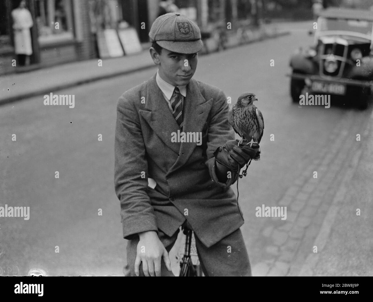 Garçon avec oiseau tamé ( kestrel ), Sidcup . 1937 Banque D'Images