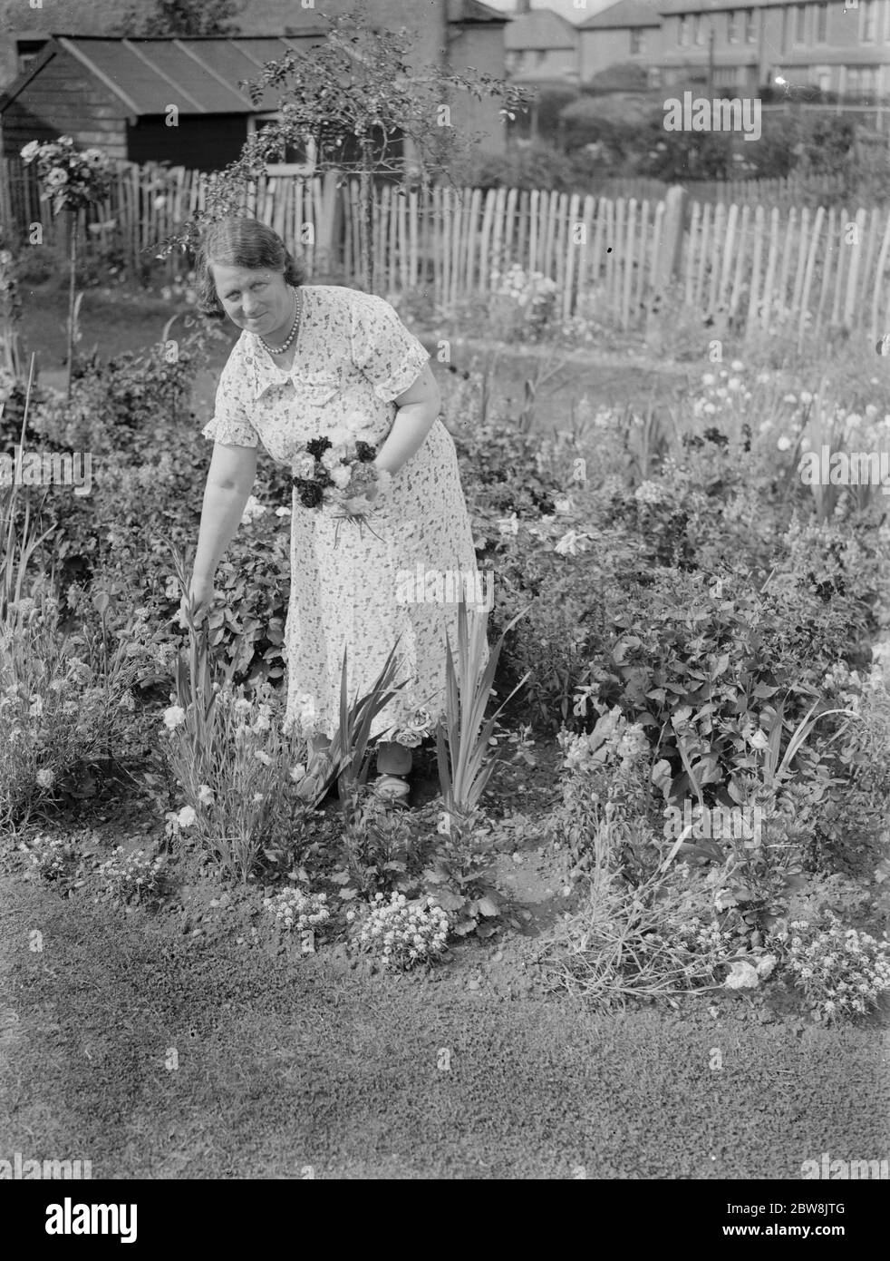 Mme E S Hollands remporte le 1er prix du concours de jardin , Dartford . 1937 Banque D'Images