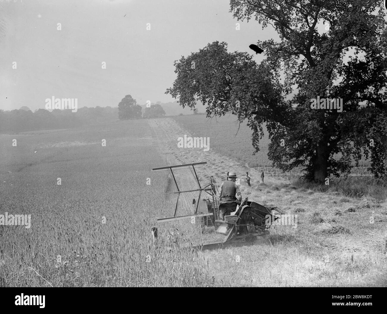 Temps de récolte - coupe de la récolte . 1935 Banque D'Images