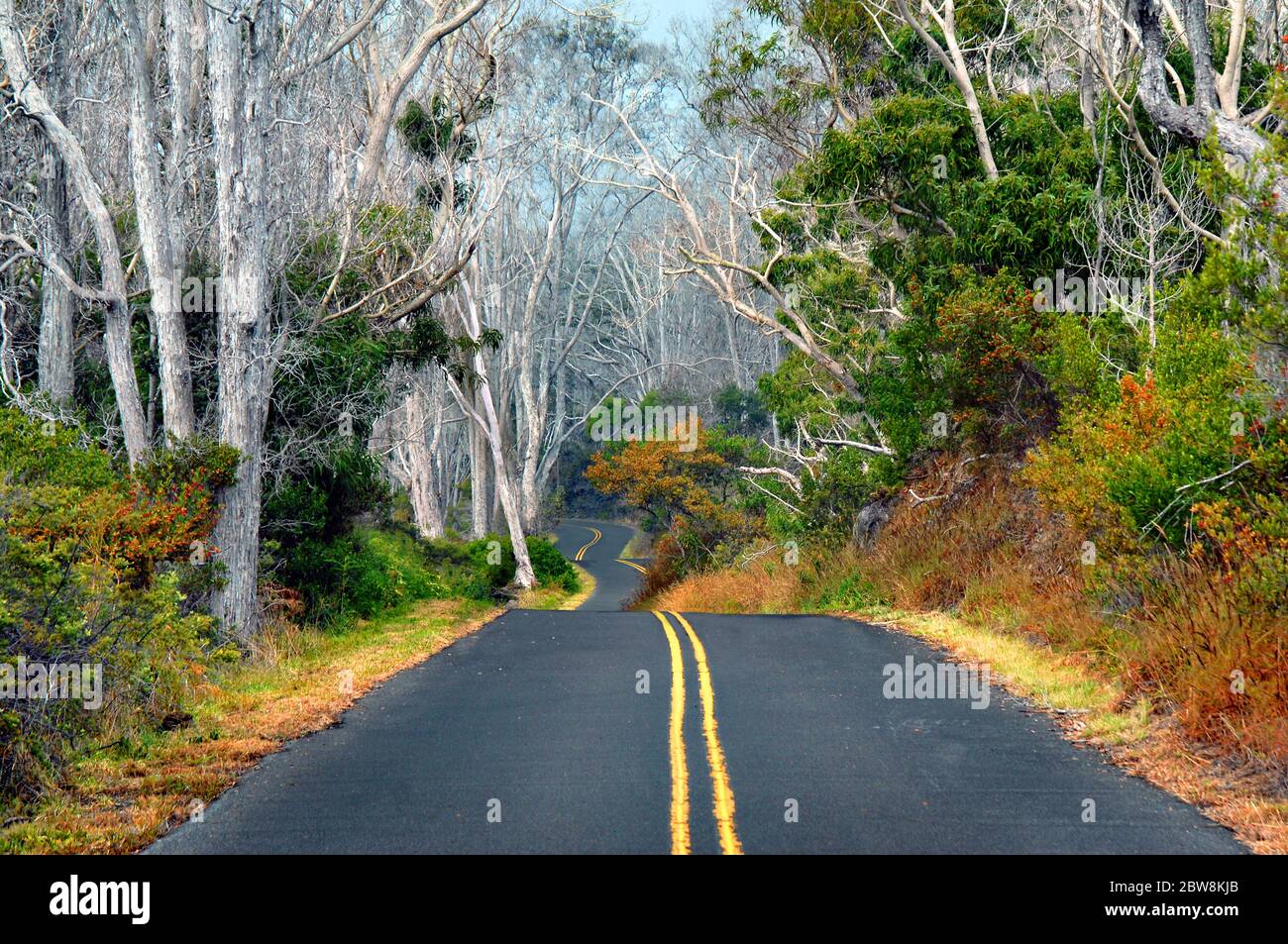 Pente trã¨s douce Banque de photographies et d'images à haute résolution -  Alamy