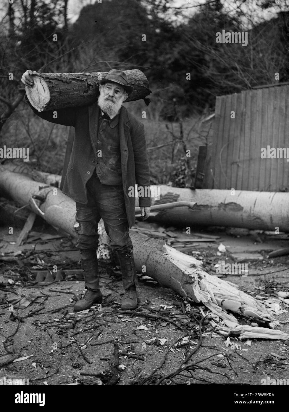 Les travailleurs dépavent un arbre soufflé par les gales à Crayford . Woodman Tom Colyer prend un journal . 1938 Banque D'Images
