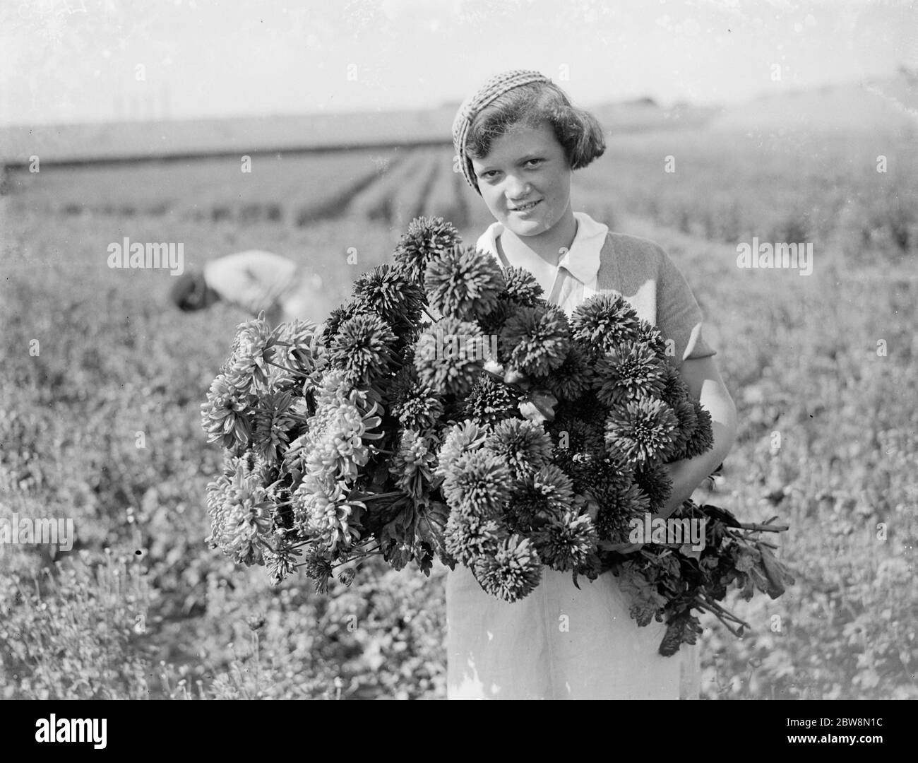 Une jeune fille tient un bouquet de chrysanthèmes fraîchement cueillis . 1935 Banque D'Images
