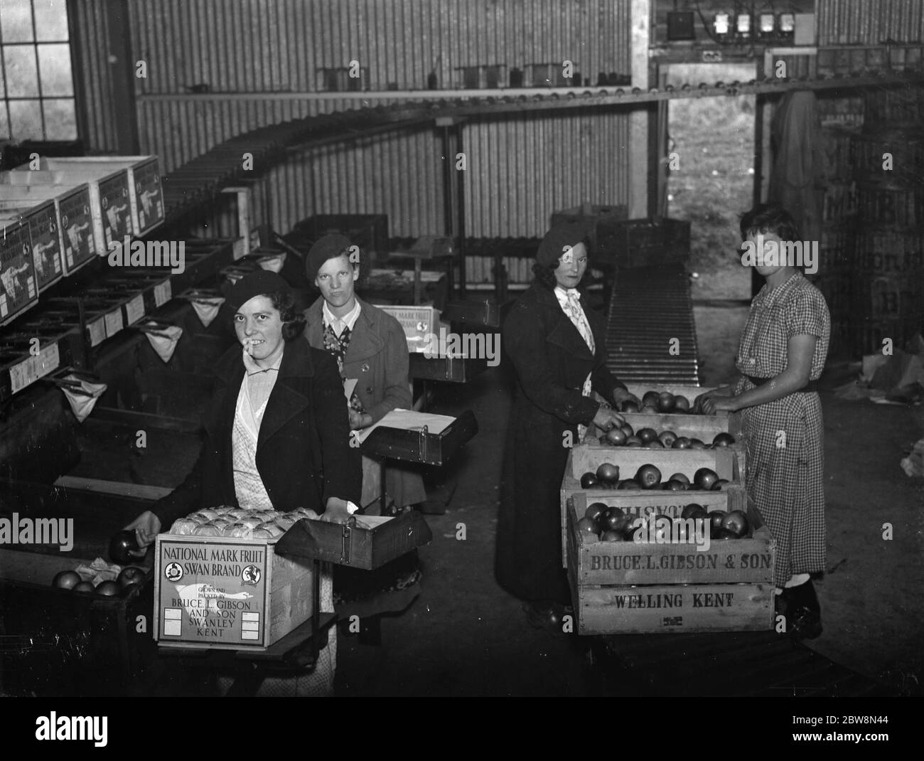 Les femmes emballeurs de fruits emballant des pommes à Bruce L Gibson et fils , Welling , Kent . 1937 Banque D'Images