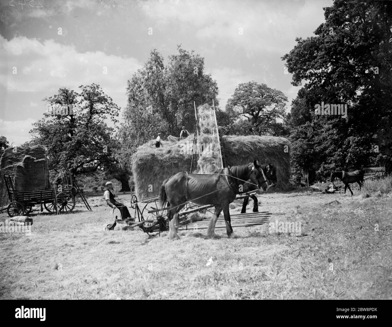 Production de foin sur la ferme à Foots Cray , Kent . 1935 Banque D'Images