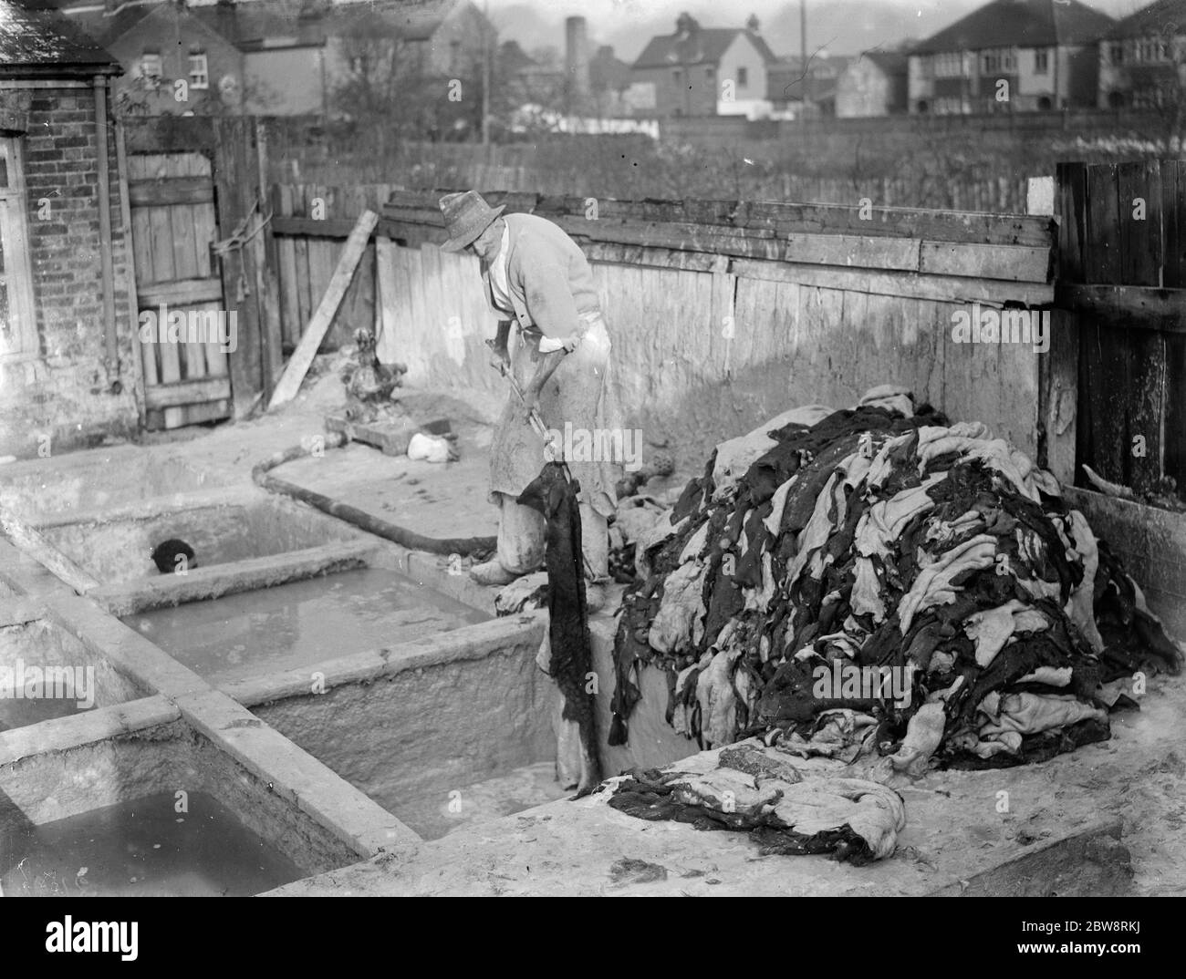 Les hommes lavant et tapissant les peaux d'animaux à l'usine de vellum . 1935 Banque D'Images