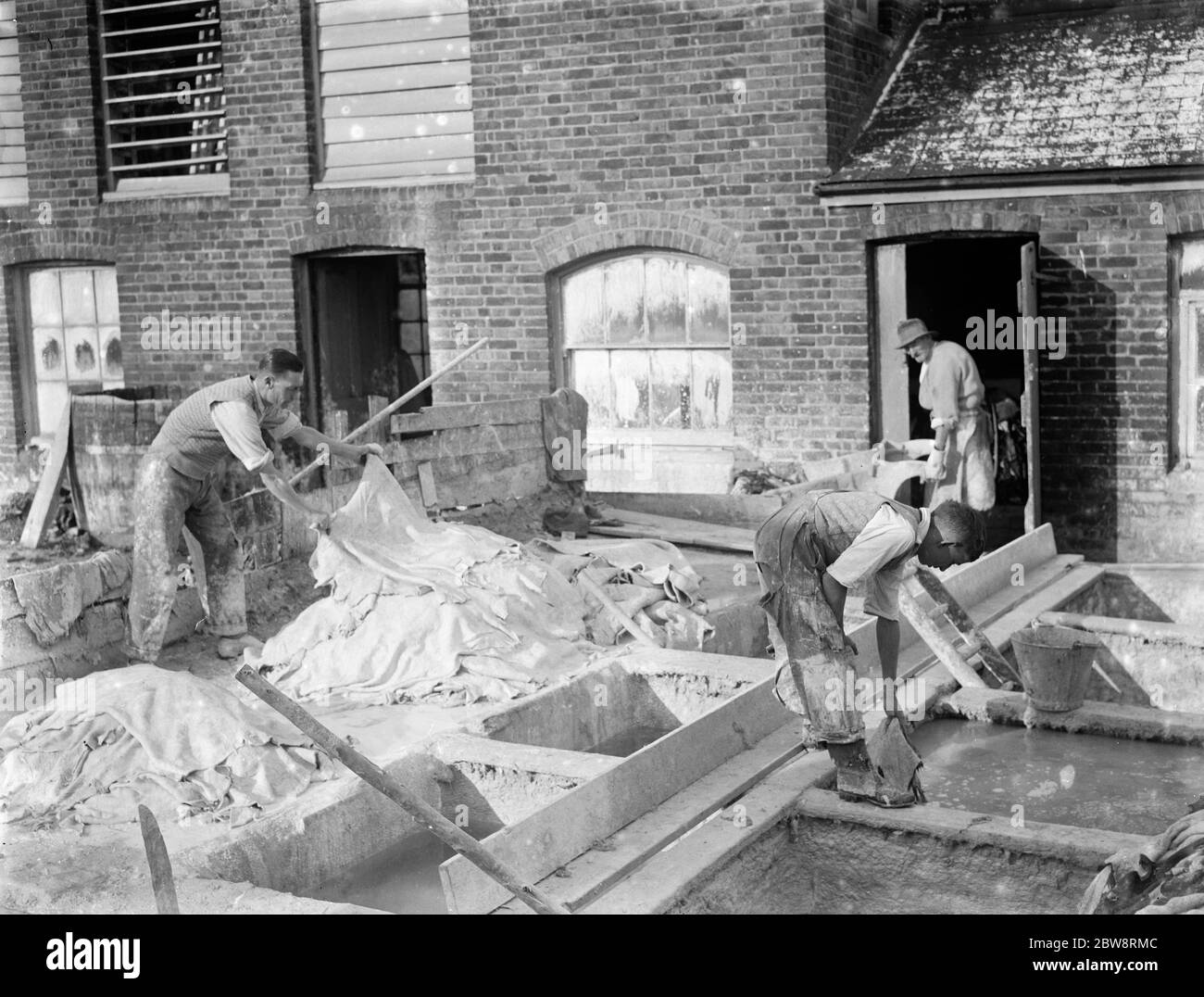 Les hommes lavant et tapissant les peaux d'animaux à l'usine de vellum . 1935 Banque D'Images