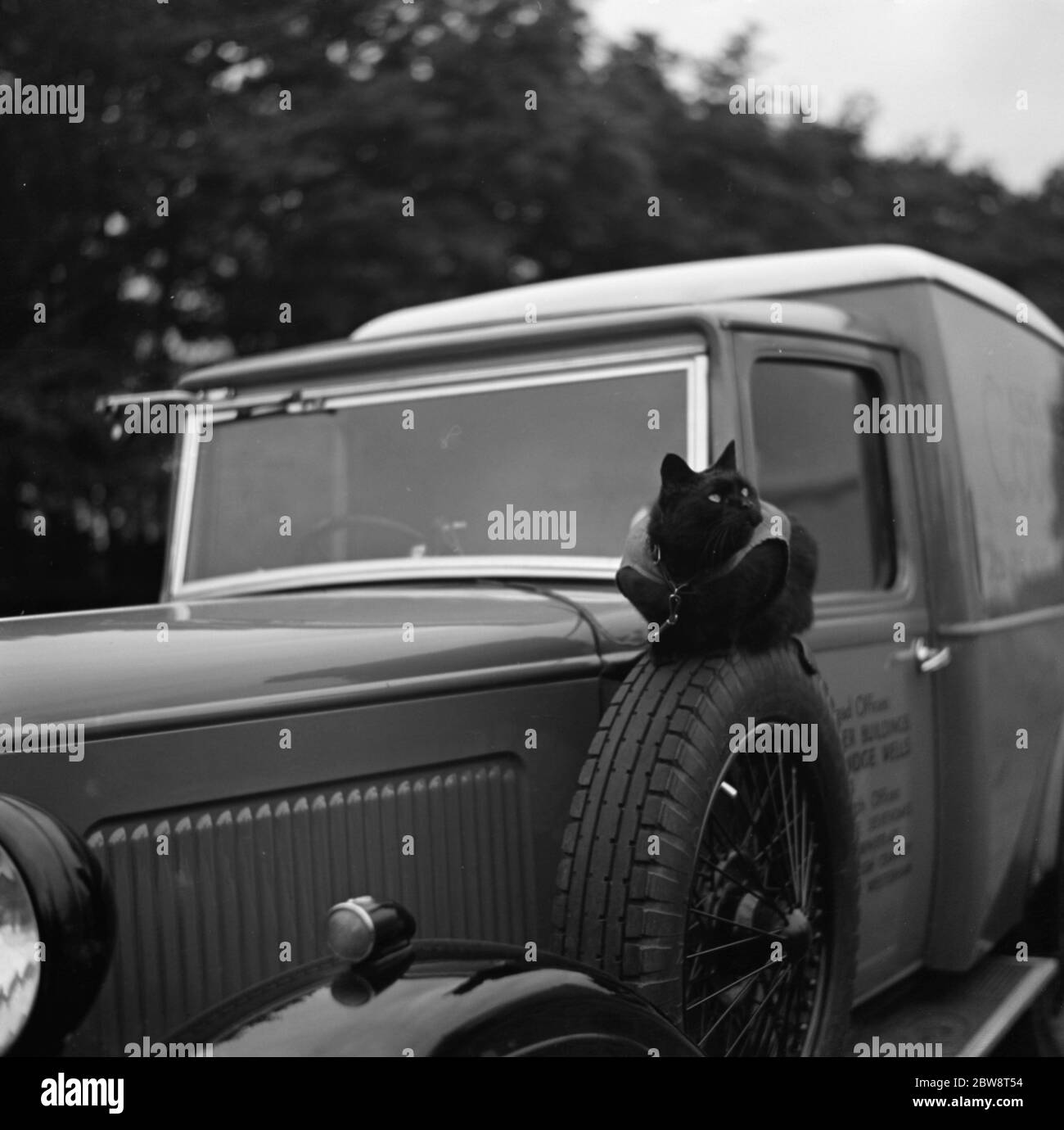 Un chat se tient regarder au-dessus d'un camion Austin à Tunbridge Wells , Kent . 1936 Banque D'Images