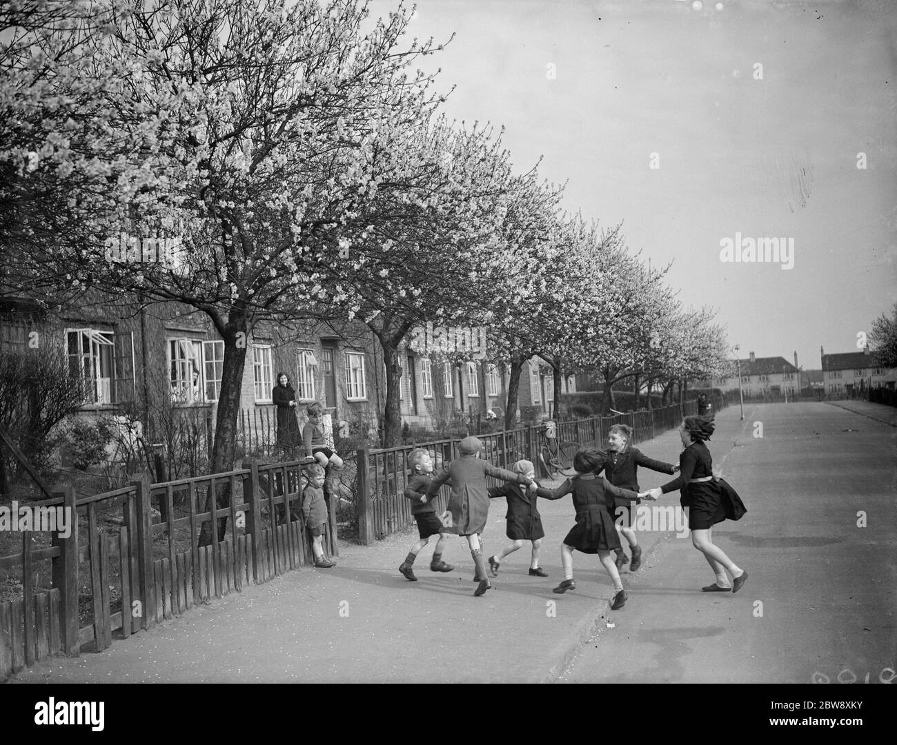 Enfants jouant dans une rue à Crayford sous les arbres de fleurs d'amandiers . 1938 Banque D'Images Enfants jouant dans une rue à Crayford sous les arbres de fleurs d'amandiers . 1938 Banque D'Images