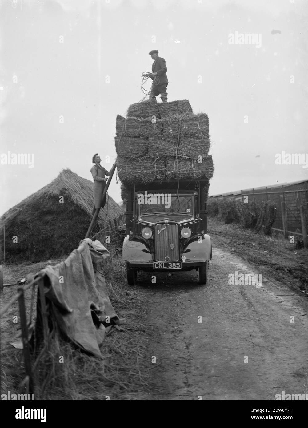 Les travailleurs de Pattullo Higgs and Co Ltd chargent des balles de foin sur leur camion Bedford de la compagnie à St Mary Cray , Kent . 21 février 1936 . Banque D'Images
