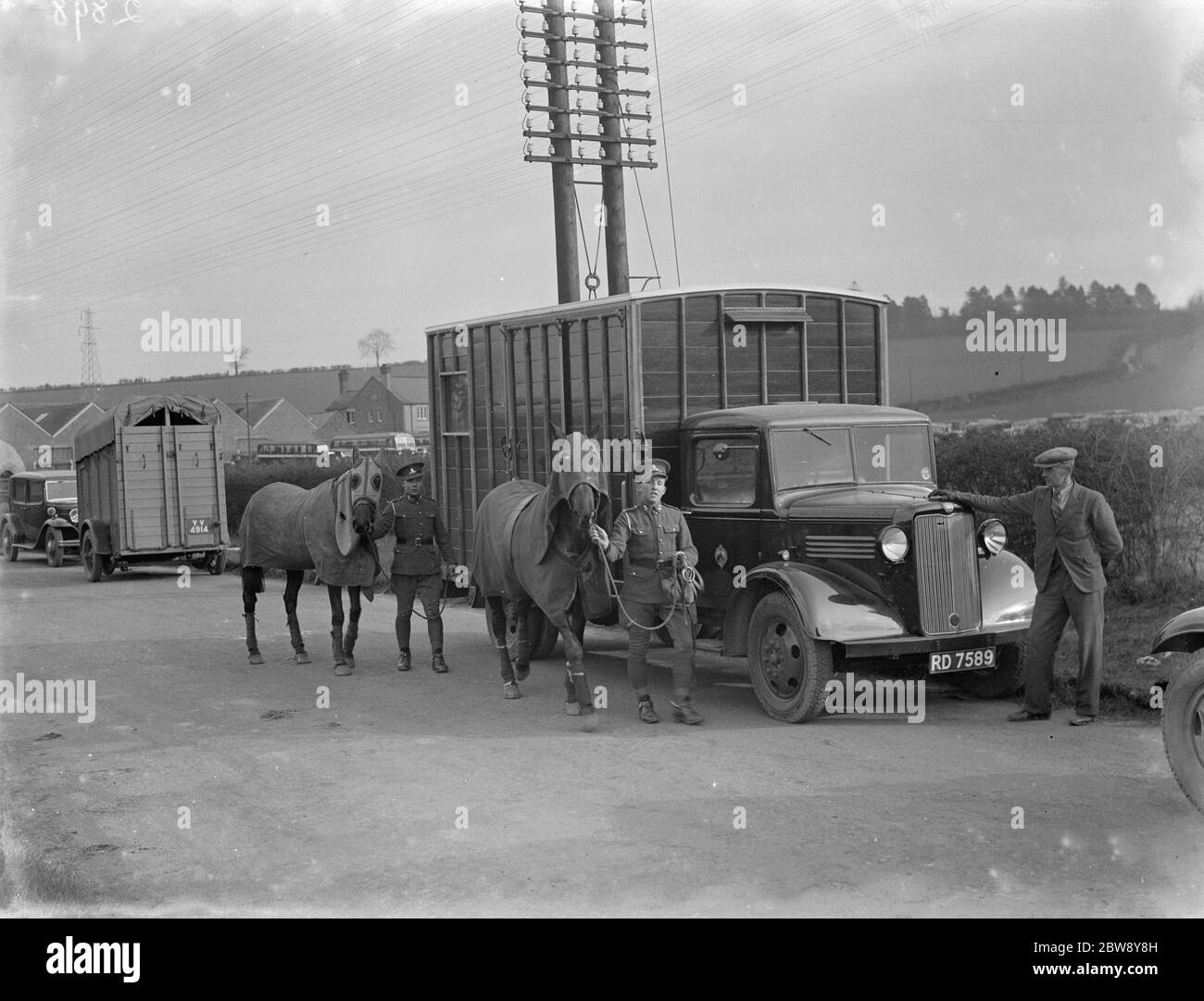 Deux chevaux étant conduits loin d'une boîte de camion de Bedford. 1936 Banque D'Images