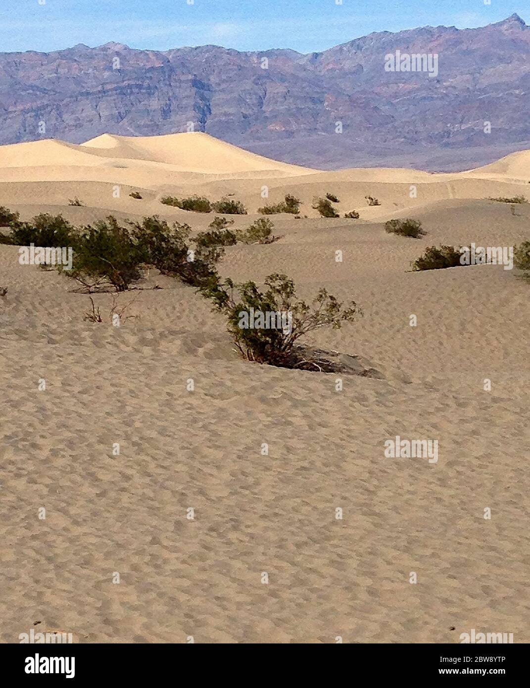 Vue sur le désert et les montagnes de la vallée de la mort près de Zabriskie point Banque D'Images