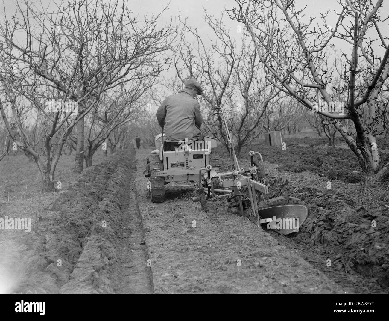 Les Ransomes d'Ipswich démontrent leur cultivateur MG2 Motor Garden dans East Malling , Kent . 22 mars 1939. Banque D'Images