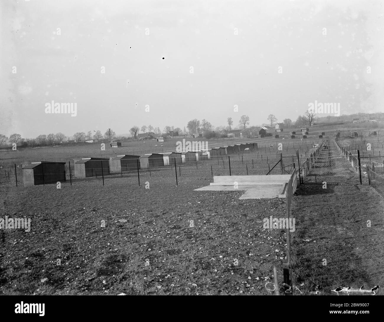 Une vue sur les maisons de reproduction des porcs à la ferme de Tripes , Orpington , Kent . 1936 Banque D'Images
