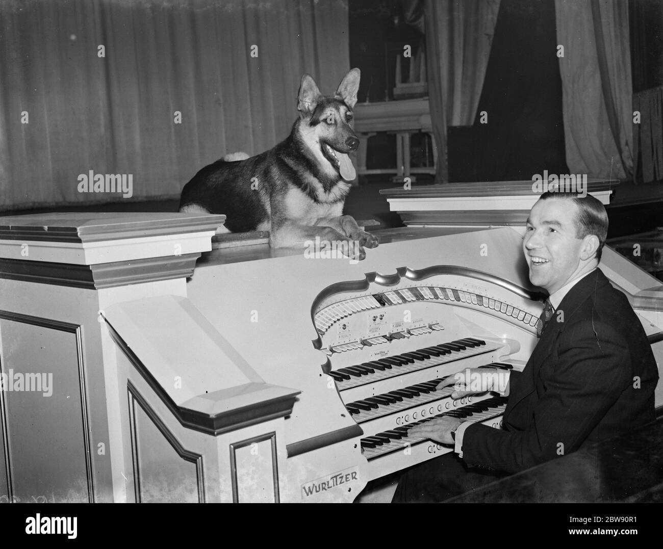M. Robinson Cleaver , célèbre organiste du cinéma , posant avec son chien à son orgue . 1939 Banque D'Images