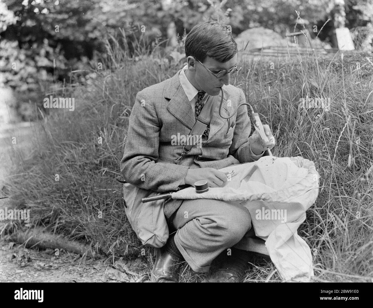 M. R L G Ford un entomologiste de terrain , étudiant des spécimens . 1939 Banque D'Images