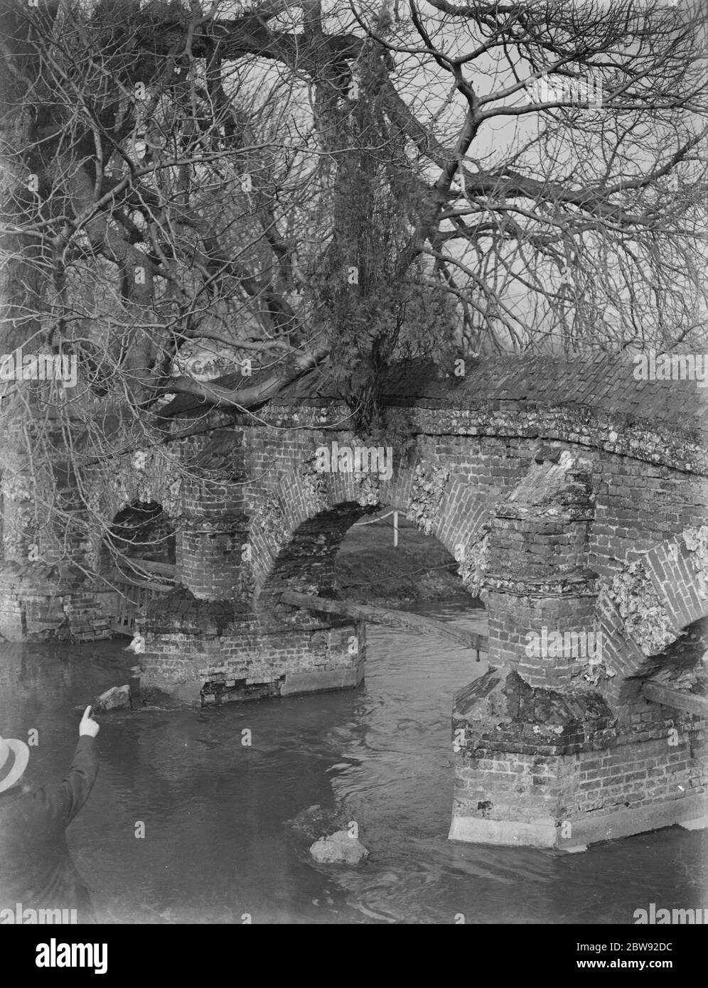 Un arbre qui pousse à partir de la base du pont de Farningham dans le Kent . 1939 Banque D'Images