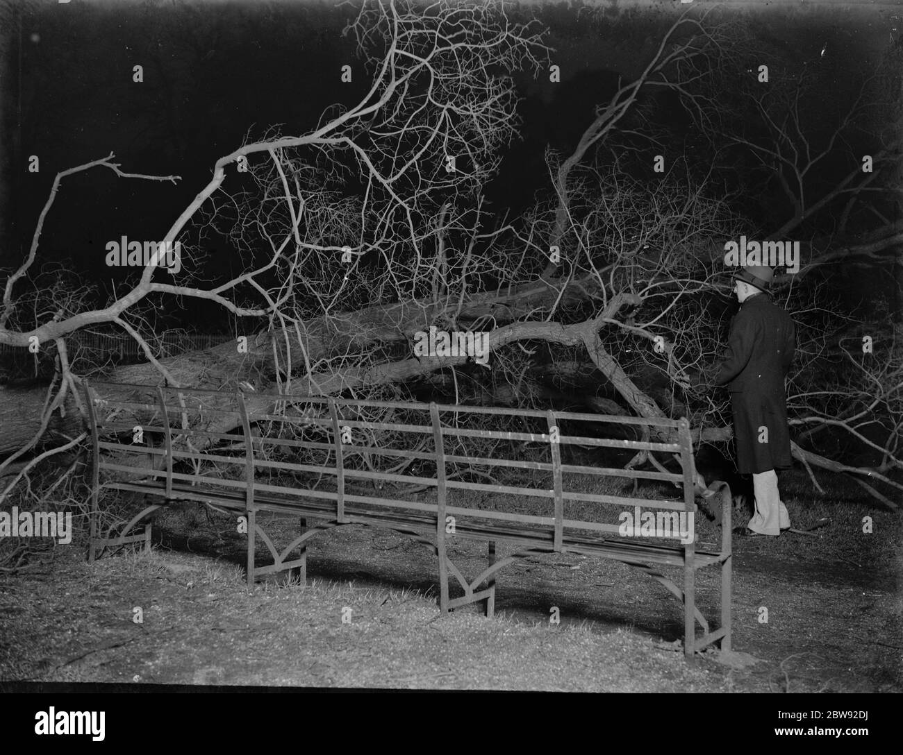 Dégâts causés par la tempête à Sidcup , Kent . 1939 . Banque D'Images