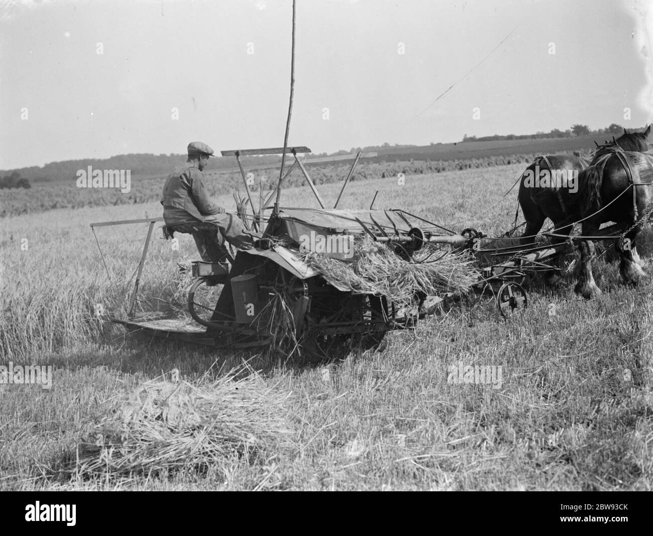 Un fermier et son cheval attaché à McCormick Binder de ficelle de 25 ans avec l'attachement Appleby , sur un champ à Gravesend , Kent . 1939 . Banque D'Images