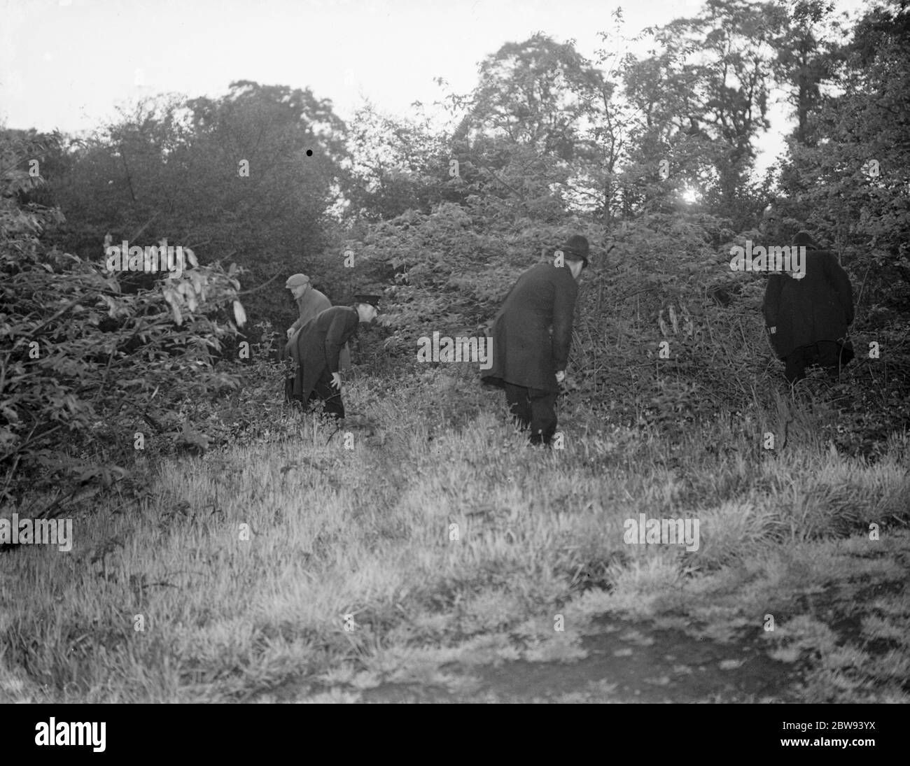 La police recherche la sous-croissance pour l'enfant perdu à Northcray , Kent . 1939 Banque D'Images