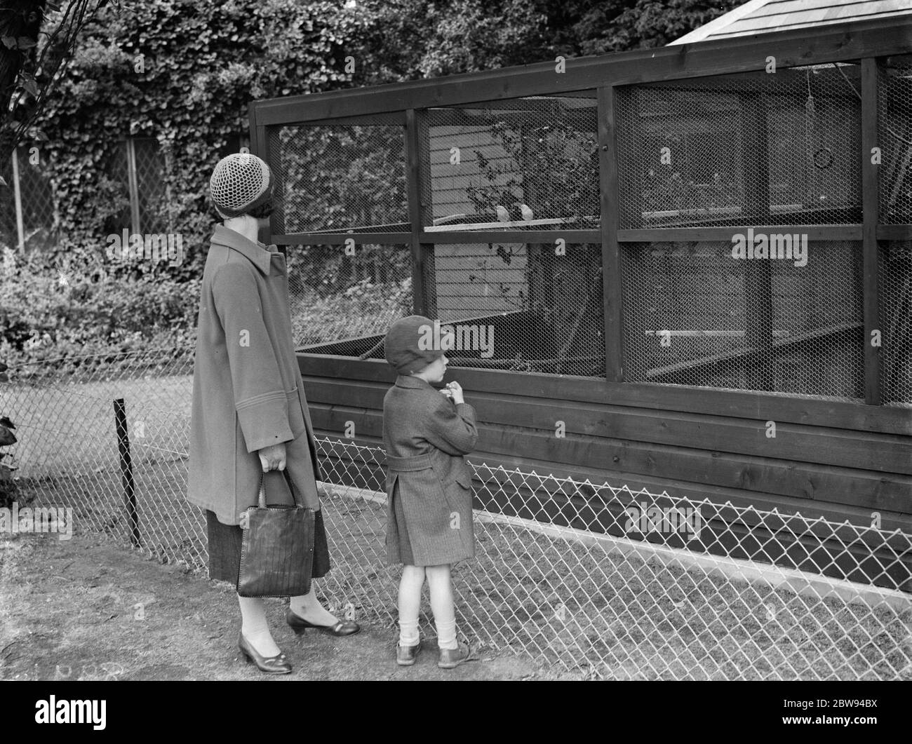 Volière à Danson Park à Bexley , Londres . 1938 Banque D'Images