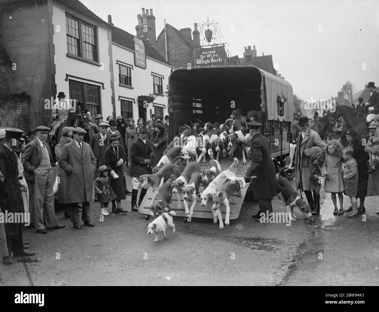 Scènes de chasse à Bletchingley , Surrey . Les limites sont sorties de la remorque . 1936 Banque D'Images