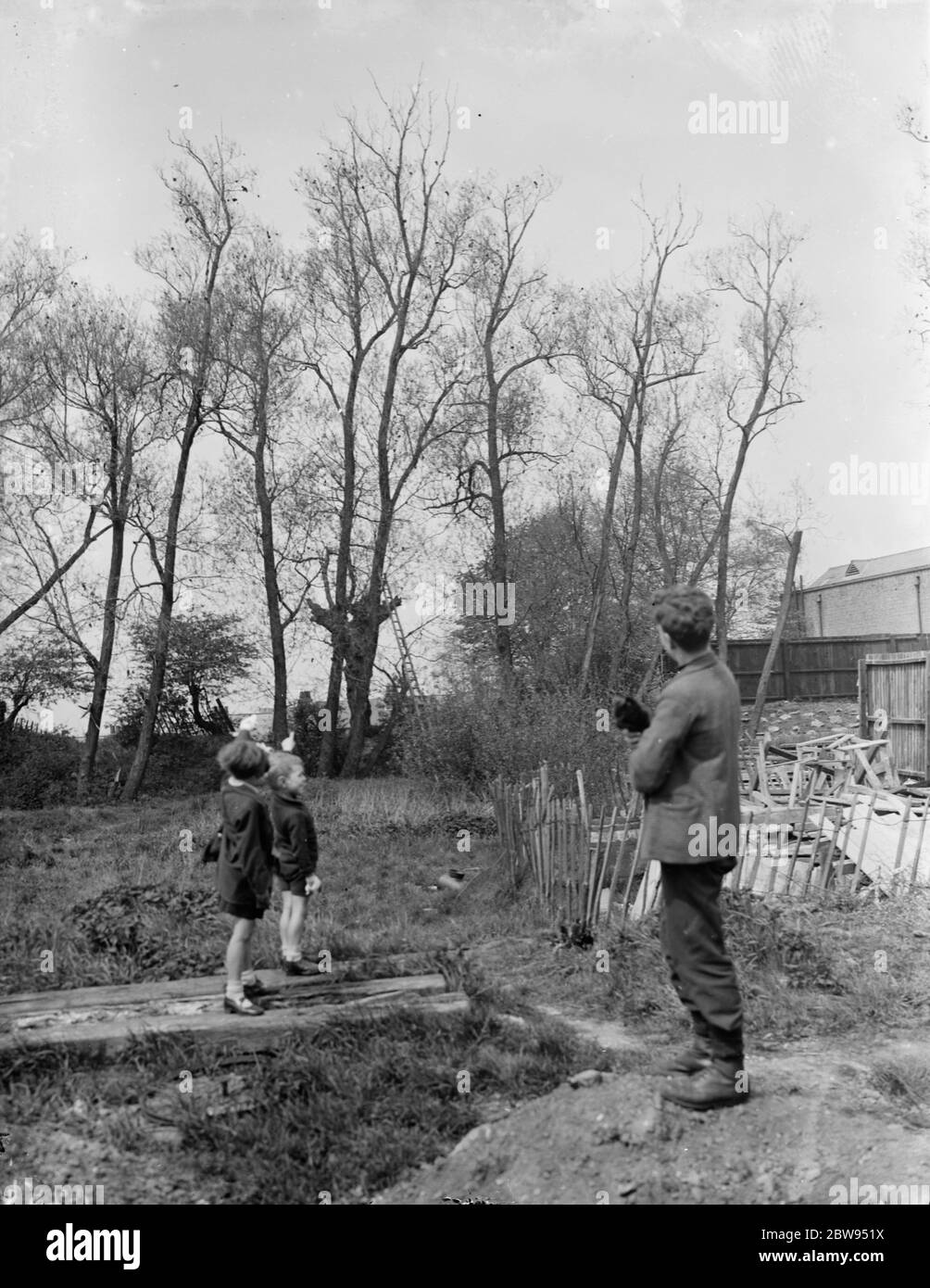Charles pointe vers l'arbre d'où il a sauvé le chat noir qu'il tient . 1936 . Banque D'Images