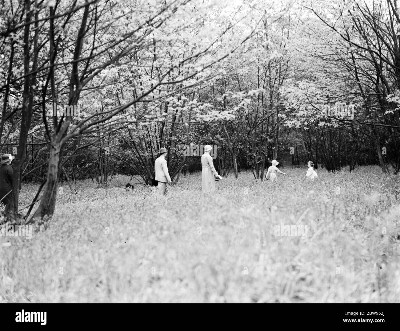Une famille qui profite de la belle saison en sortant dans les bois. 1936 Banque D'Images