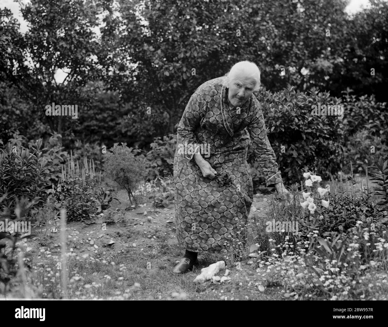 Mme Matilda Jefferies de Chelsfield , Kent . 1936 Banque D'Images