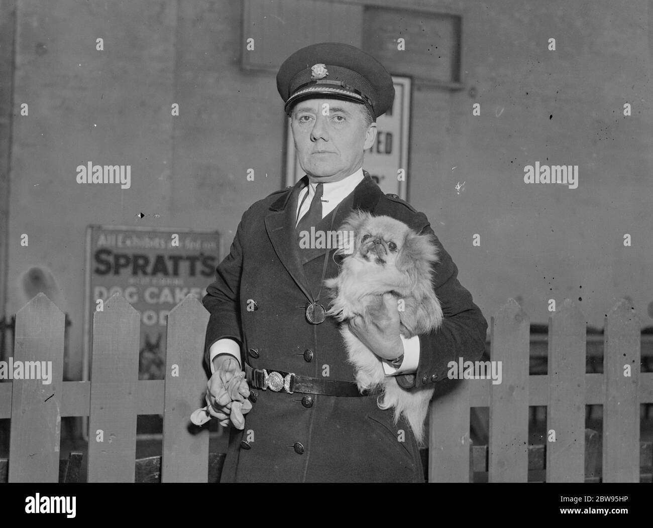 Femme chef de police à Cruft . Commandant M S Allen , chef de la police féminine , avec un prix d'ami Pekingese , Mehetabel d'Offham au spectacle canin de Cruft qui est en cours au Agricultural Hall , Islington , Londres . 8 février 1933 Banque D'Images