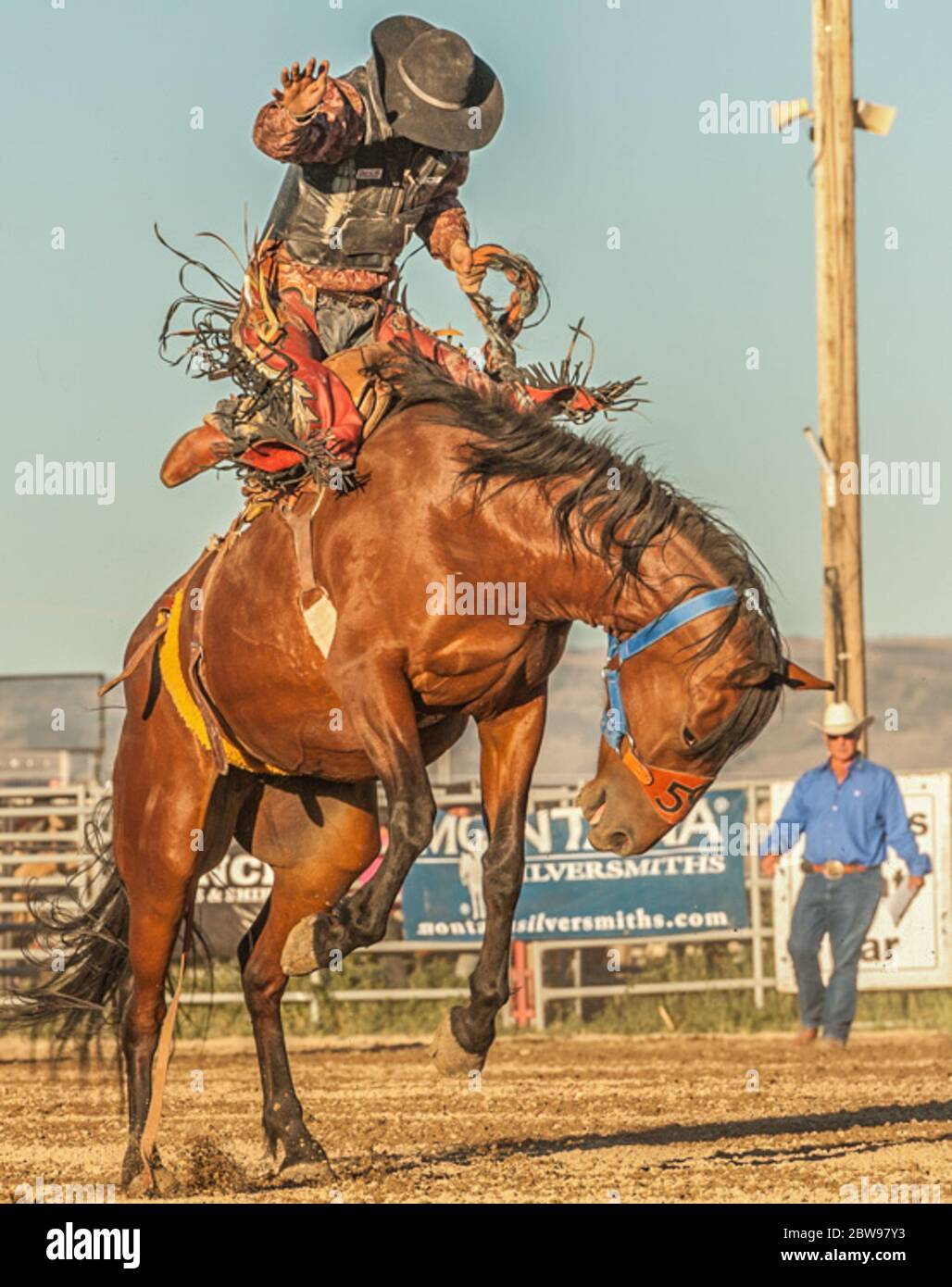 Selle pilote de bronc dans une plongée de nez Banque D'Images