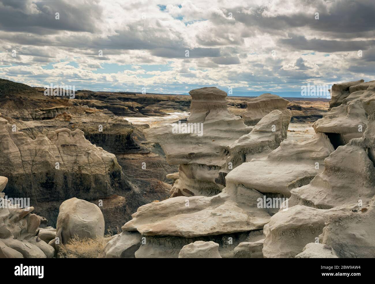 NM00244-00...NOUVEAU-MEXIQUE - le grès s'érode en formes peu probables dans la région sauvage de Bisti. Banque D'Images