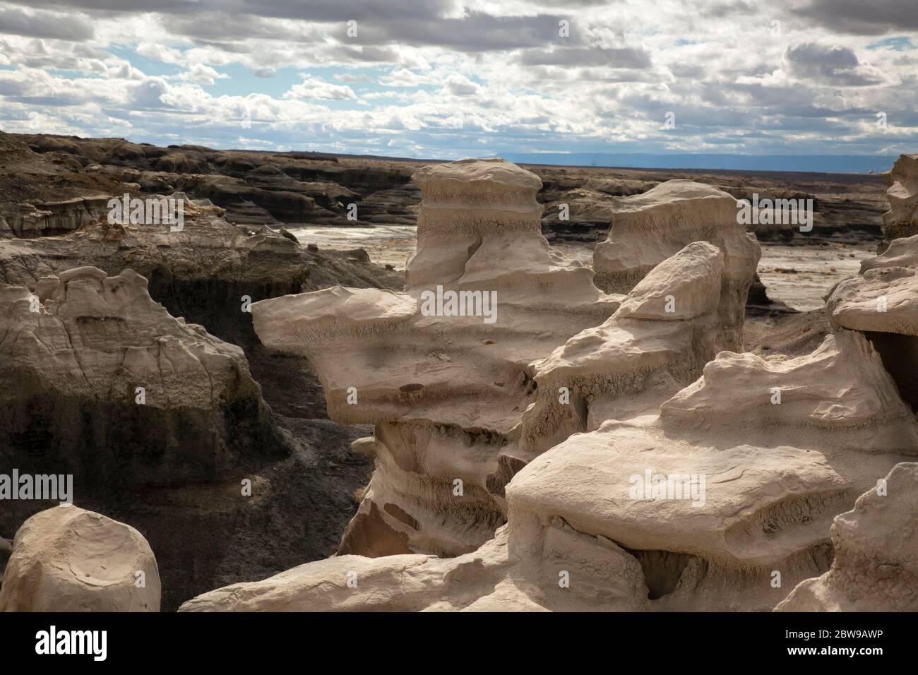 NM00245-00...NOUVEAU-MEXIQUE - le grès s'érode en formes peu probables dans la région sauvage de Bisti. Banque D'Images