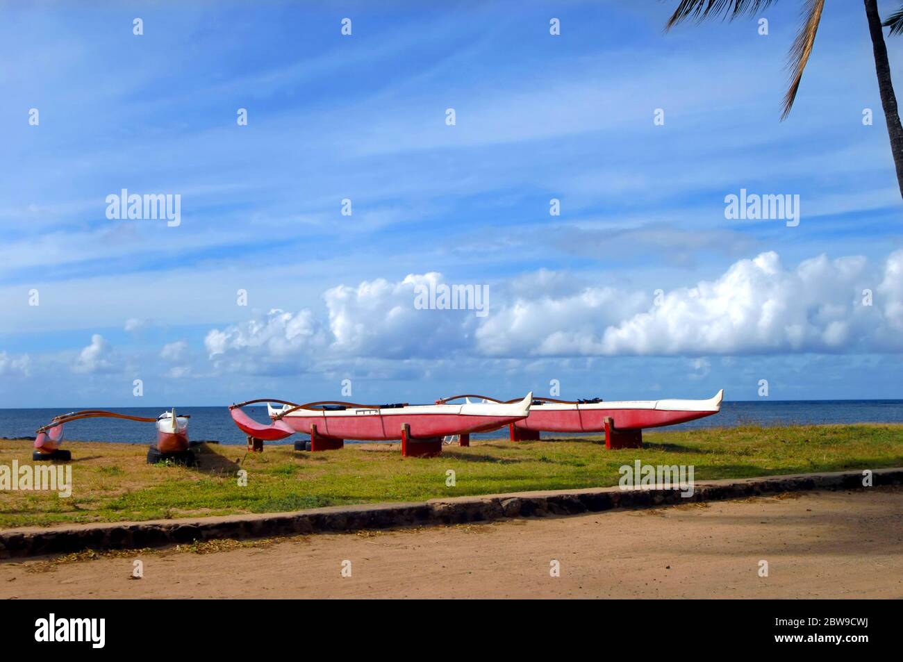 Les canots d'outrigger sont installés sur la rive nord de l'île d'Oahua. Chacun repose sur un support de pneu encadré par l'océan et les nuages. Banque D'Images