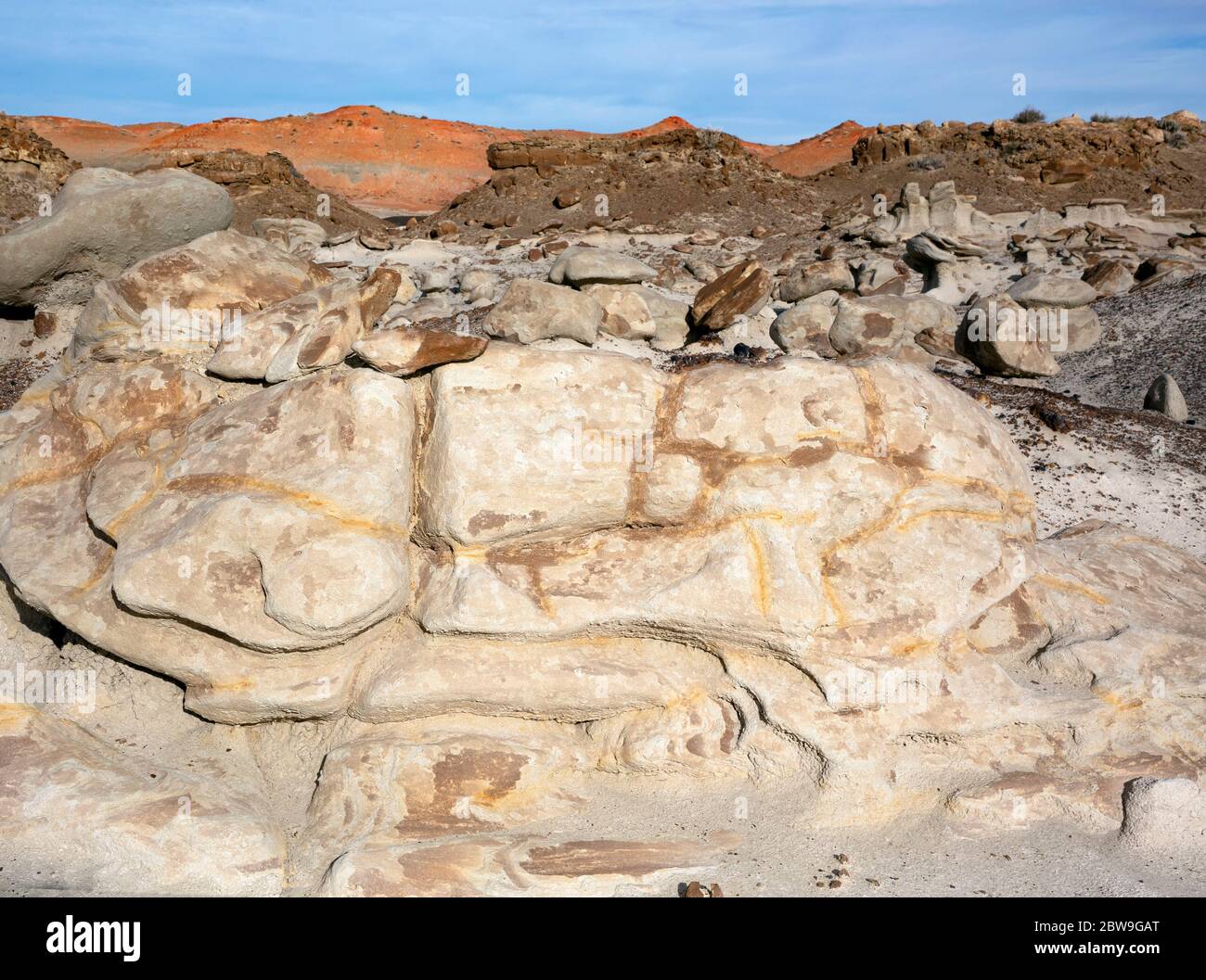 NM00288-00...NOUVEAU-MEXIQUE - le sol et les rochers de nombreuses couleurs illuminent la région sauvage de Bisti. Banque D'Images