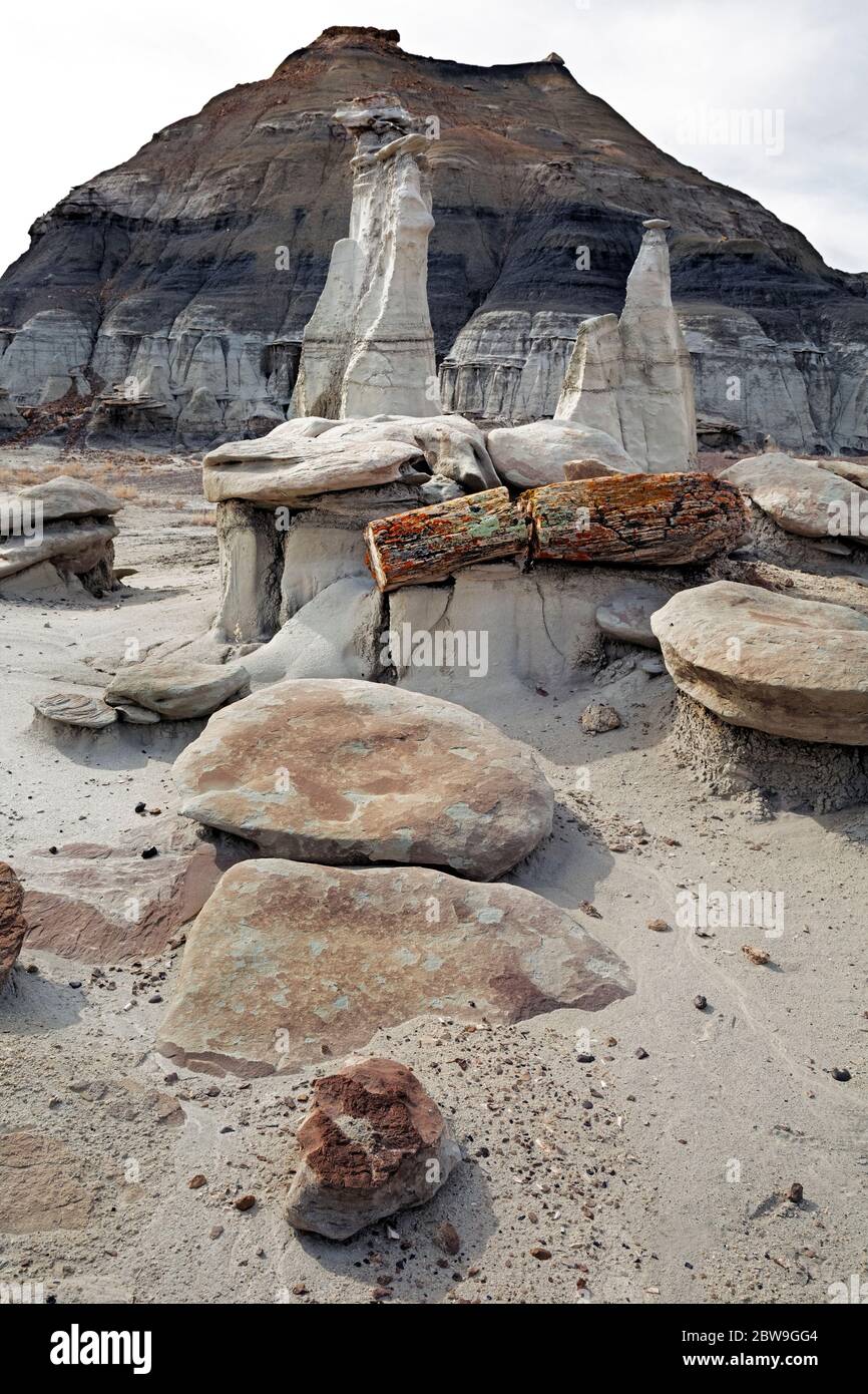 NM00302-00...NOUVEAU-MEXIQUE - Bois pétrifié et zoos dans la région sauvage de Bisti. Banque D'Images