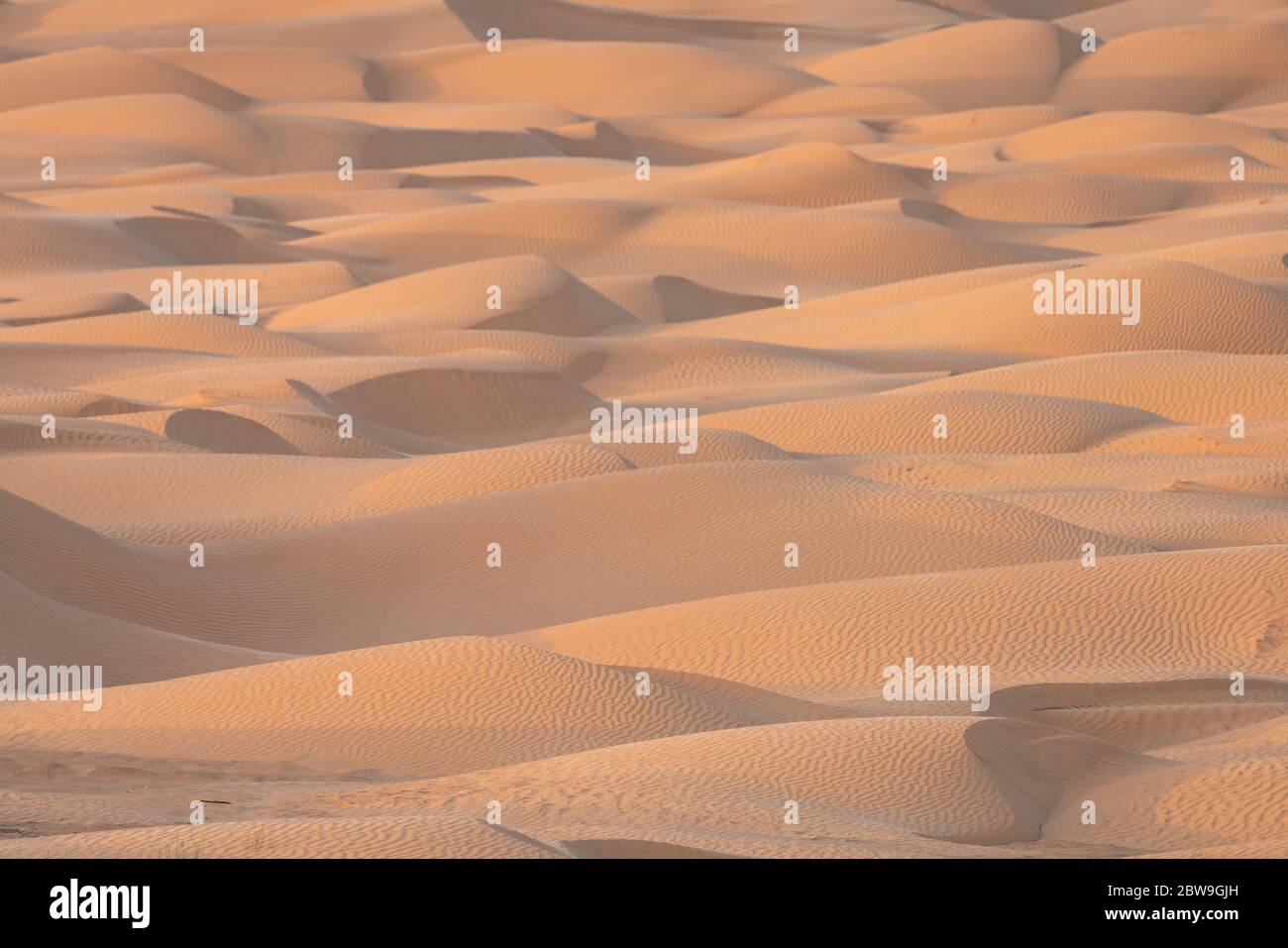 ksar ghilane, tunisie du sud Banque D'Images