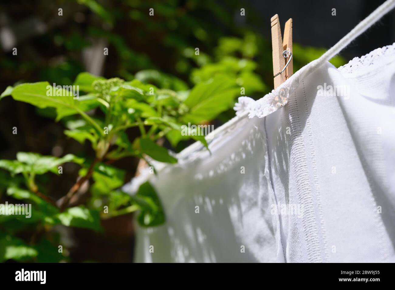 Nappe blanche séchant sur corde à linge aux feuilles vertes Banque D'Images