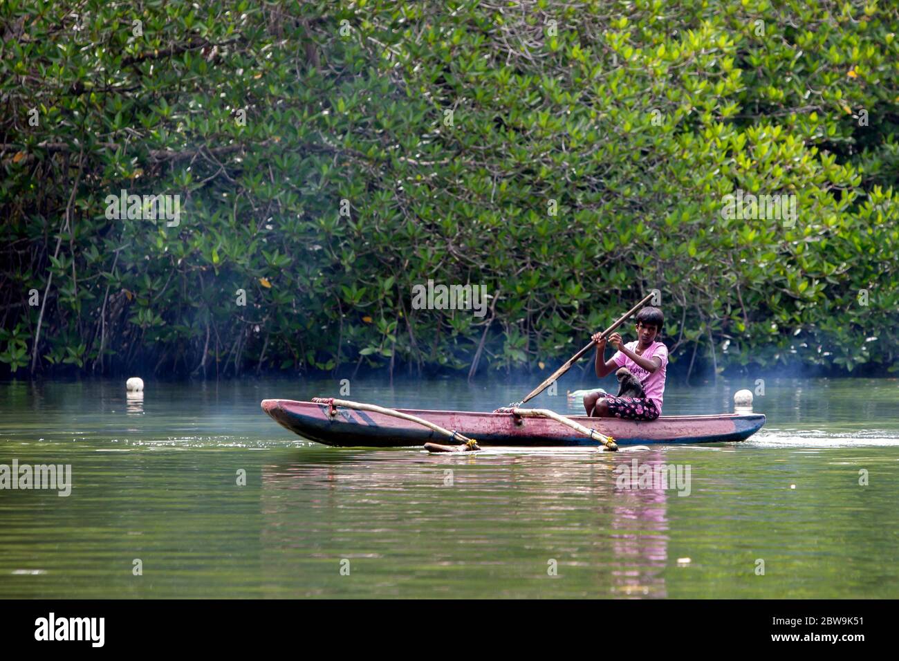 BALAPITIYA, SRI LANKA - 04 AOÛT 2012 : UN garçon pagaie son canot de stabilisateur le long de la rivière Madi, à côté des mangroves près de Balapitiya dans l'ouest de Sri la Banque D'Images