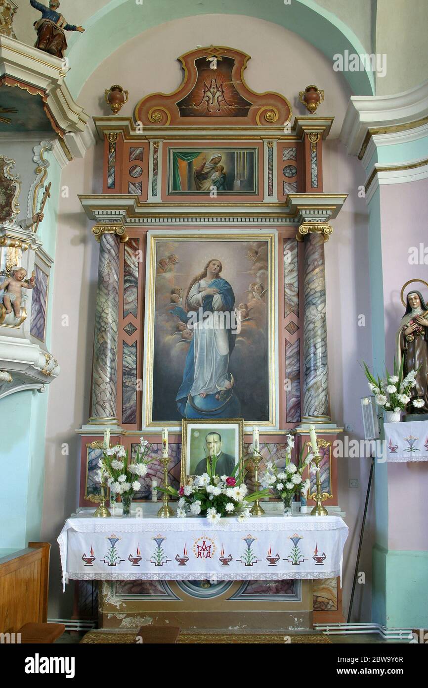 Assomption de la Vierge Marie, autel dans l'église Saint-Vitus à Brdovec, Croatie Banque D'Images