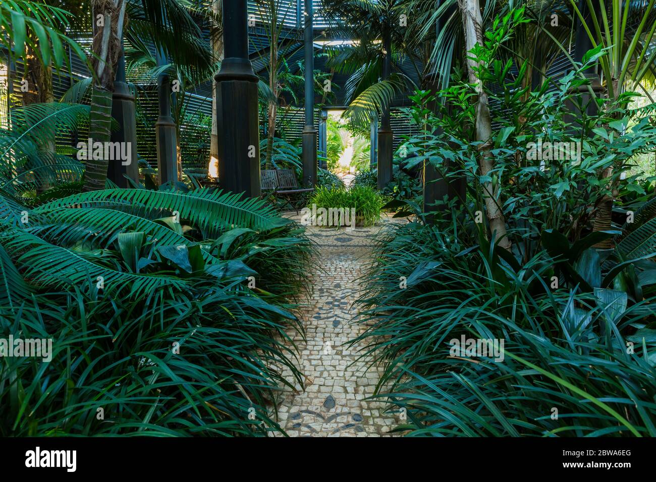 Jardin ombragé pour plantes et arbres ombragés avec construction de toit Banque D'Images