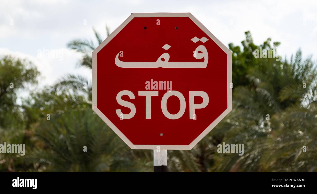 Panneau d'ARRÊT bilingue anglais-arabe devant les arbres dans la ville d'Al Mudhairib, Oman Banque D'Images