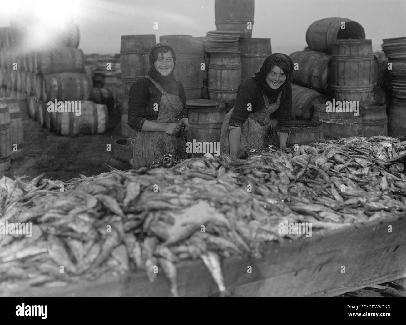 Récolte de hareng chez Lowestoft Scotch filles pêcheur guetting et empaquing le poisson sur le quai Lowestoft . 6 novembre 1920 Banque D'Images