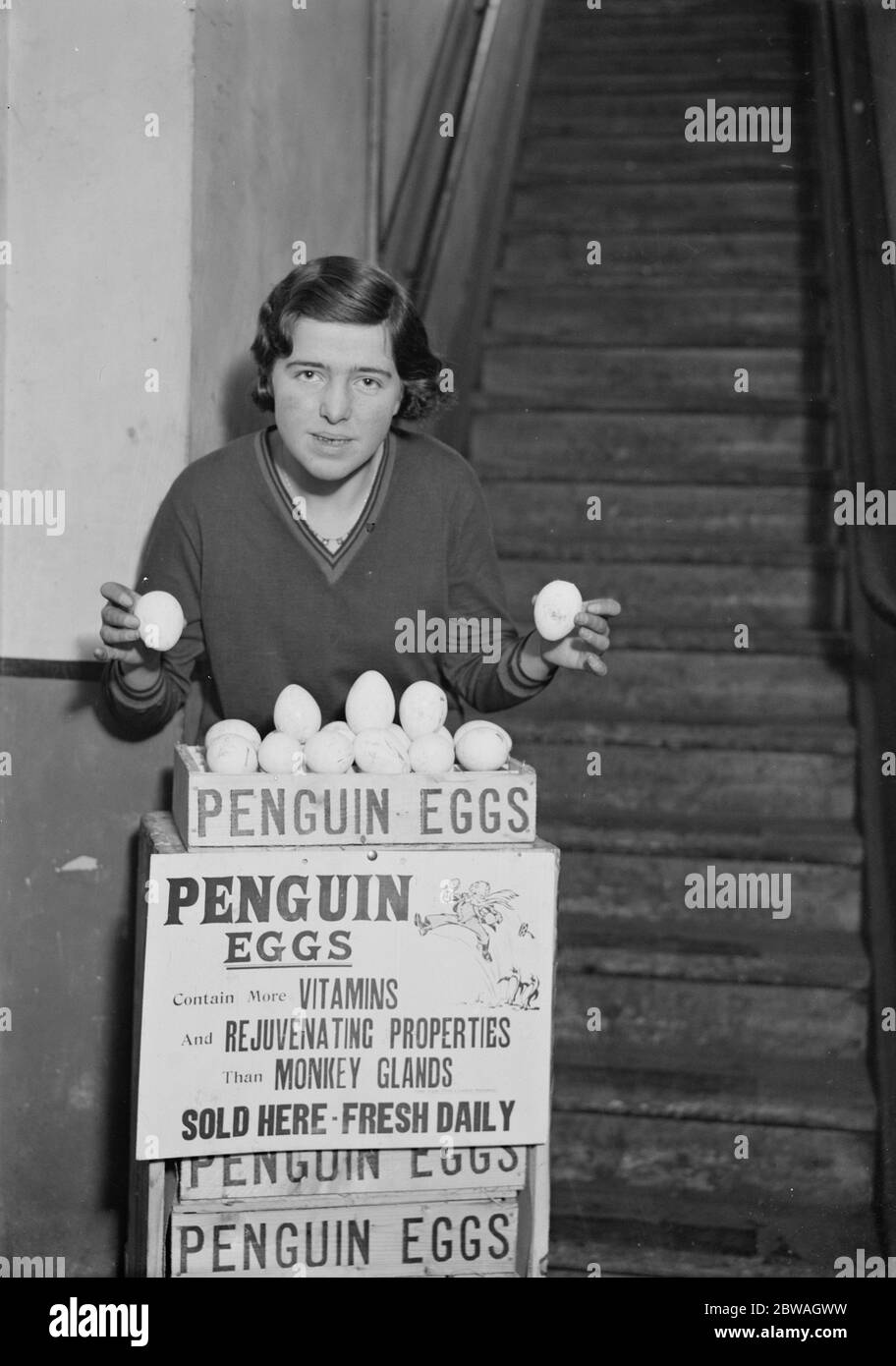 Partie de la première expédition de 3300 œufs de pingouins de l'Antarctique reçue par Messers George Tabor Ltd . Ils sont considérés comme une grande délicatesse et dans la saveur ressemblent aux oeufs de Pluvier . En raison de leur taille, ils ont besoin d'être cuits pendant au moins 20 minutes 14 avril 1932 ils contiennent plus de vitamines et de propriétés rajeunissants que les glandes de singe Banque D'Images