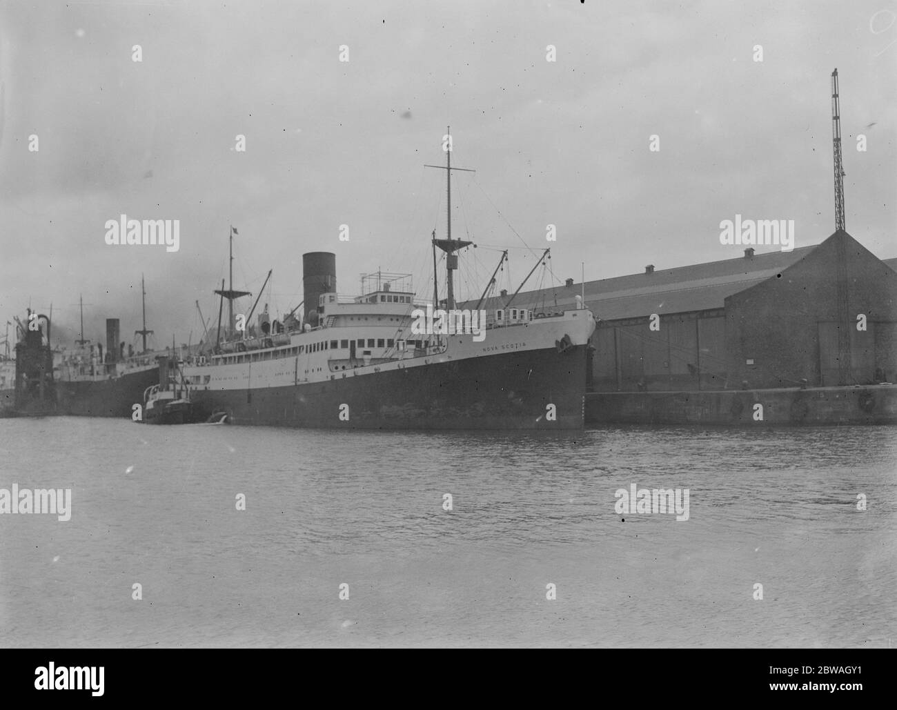 Liverpool - SS Navia Scotia arrive avec la cargaison de saumon de la Compagnie de la Baie d'Hudson ( prise pour MM. Tabor ' s ) Banque D'Images