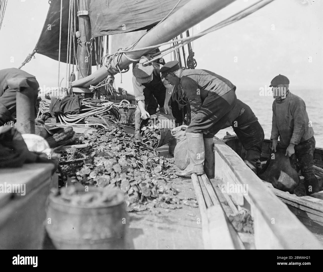 Ouverture de la saison de pêche à l'huître à l'écurie Whitstable le 31 août 1916 Banque D'Images