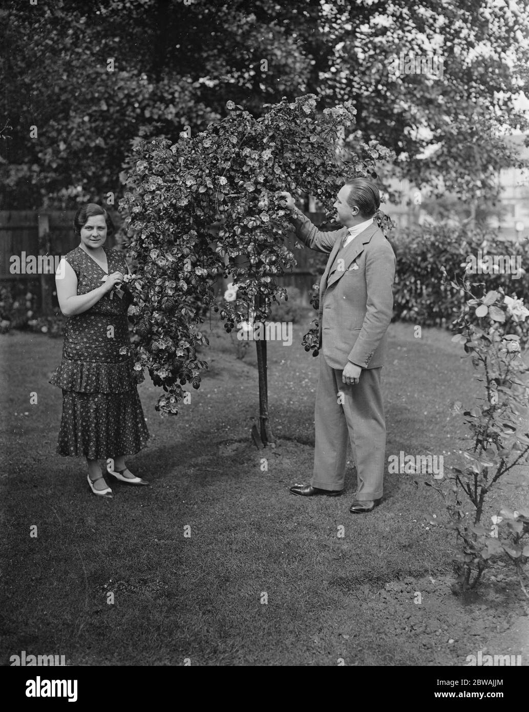 M. et Mme Robert Naylor chez eux à Wembley . M. Naylor On se souviendra de la partie de M. Richard Tauber à court préavis à Drury Lane . 6 juillet 1931 Robert Naylor - 1899-1968; ténor britannique ( Yorkshire ) qui chanta Don Jose (Carmen) pour Carl Rosa Opera Company, et gagnée en une nuit de gloire quand il se tint pour Richard Tauber dans le Land de Smiles en 1931. Pendant une décennie, il a été une star majeure de l'opéra, de la radio et de la variété, et a fait de nombreux enregistrements Banque D'Images