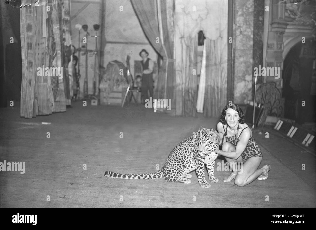 Leopard Mauls son entraîneur tout en amenant l'un de ses léopards sur la scène pour la répétition , l'animal a allumé Miss Ruth Hasse , Star of the ' Doorlay's Tropical Express ' show au Hackney Empire photo shows Miss Hasse et le léopard après l'incident du 15 décembre 1937 Banque D'Images