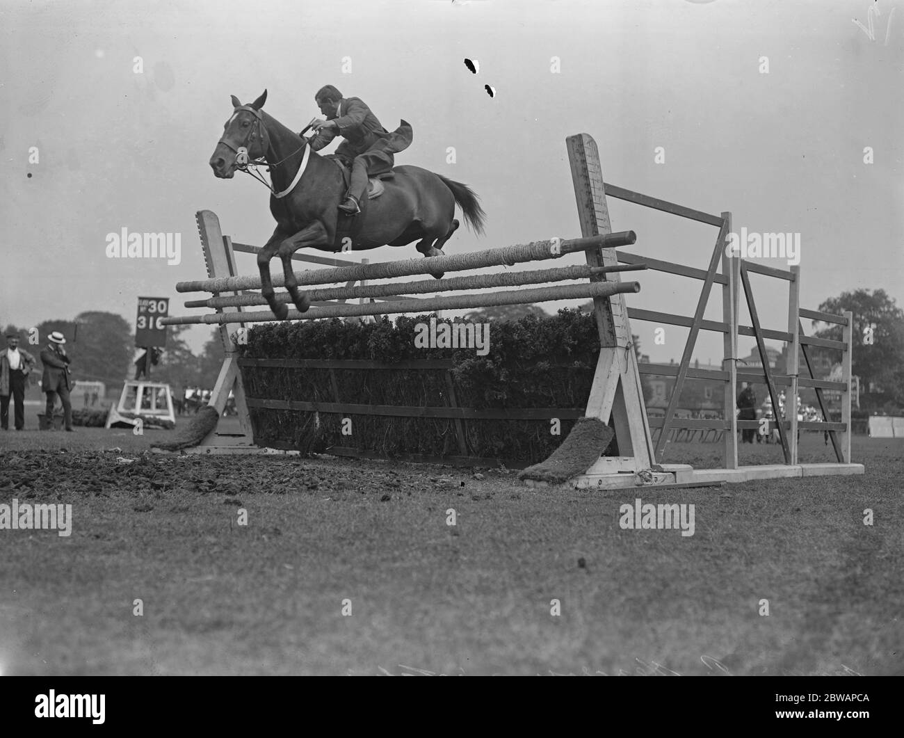 Spectacle équestre de Richmond. M. J P Glencross ' Lady ' Banque D'Images