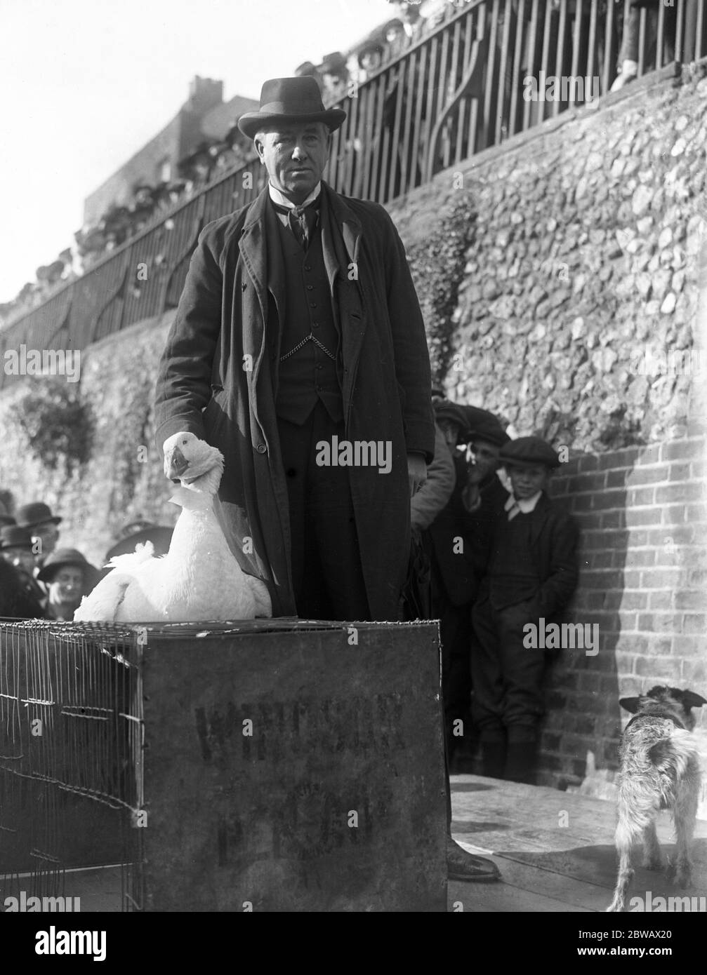 M. Ronald McNeill , député , ouvre une vente à Canterbury , Kent , au nom du Fonds de la Croix-Rouge agricole britannique , l' aide agricole . 15 novembre 1916 Banque D'Images