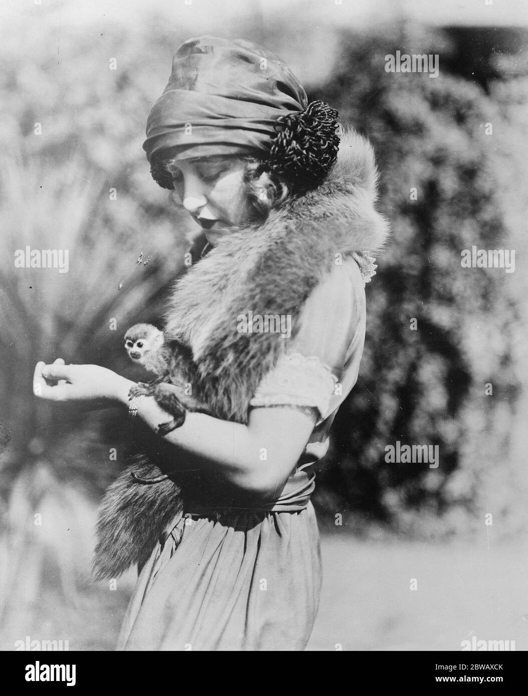 Plus petit singe en captivité . Mlle Ruth Clifford , qui a une ressemblance marquée à Mlle Mary Pickford , a pour un animal le plus petit singe en captivité . Ce n'est pas un bébé mais un spécimen nain de ce que l'on appelle le singe écureuil . 25 janvier 1923 Banque D'Images